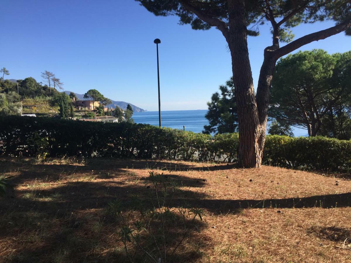 Ferienwohnung Il Nido Della Gazza Monterosso al Mare Exterior foto